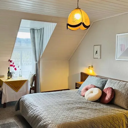 Guest house Historisches Winzerhaus *